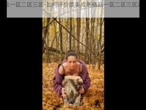 欧美成熟精品一区二区三区-如何评价欧美成熟精品一区二区三区这种类型的视频？