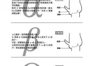 沟引同性Gay勾外卖(如何通过沟引同性 Gay 勾外卖进行交友？)