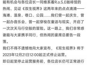 双生视界下架后游戏玩家还能否继续游玩探讨：解析下架原因与游戏延续性探讨