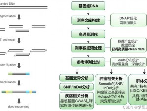 揭秘测序结果多变之谜：为何每次测序结果存在差异性？