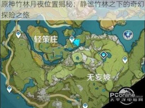 原神竹林月夜位置揭秘：静谧竹林之下的奇幻探险之旅