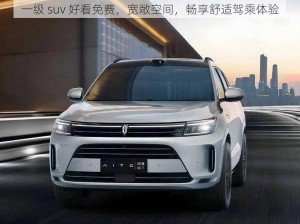 一级 suv 好看免费，宽敞空间，畅享舒适驾乘体验