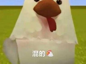 迷你世界鸡驯服与成长攻略：如何驯服鸡并见证其成长过程