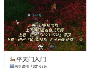 逆水寒手游双人预约官方地址揭秘：轻松掌握预约入口，共创江湖新篇章