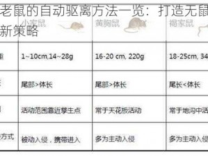 关于老鼠的自动驱离方法一览：打造无鼠居住环境新策略