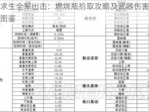 绝地求生全军出击：燃烧瓶拾取攻略及武器伤害全面解析图鉴