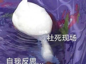 英语课代表说他下面湿透了：社死现场😰