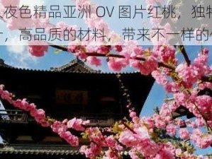 久久夜色精品亚洲 OV 图片红桃，独特的设计，高品质的材料，带来不一样的体验