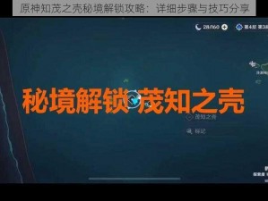 原神知茂之壳秘境解锁攻略：详细步骤与技巧分享