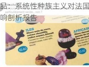 产品：系统性种族主义对法国的影响剖析报告