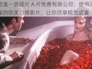 欧美一级婬片 A 片免费有限公司：提供丰富的欧美色情影片，让你尽享视觉盛宴