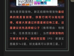 桃花源记手游战狼全面解析：技能属性加点攻略与实战体验