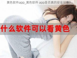 黄色软件app_黄色软件 app是否真的安全可靠？