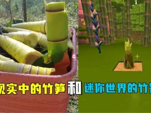 迷你世界笋尖串串获取攻略：探索最新途径，尽享美味串串乐趣