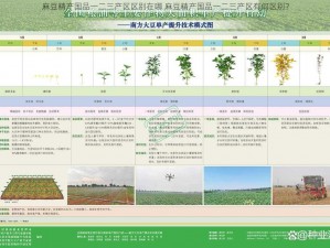 麻豆精产国品一二三产区区别在哪 麻豆精产国品一二三产区有何区别？