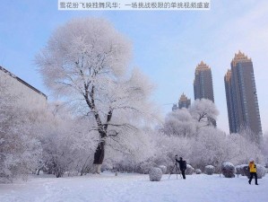 雪花纷飞映独舞风华：一场挑战极限的单挑视频盛宴