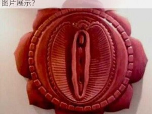 肉莲花法器图片 肉莲花法器是什么？为何要用图片展示？