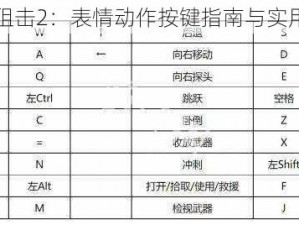 生死狙击2：表情动作按键指南与实用技巧