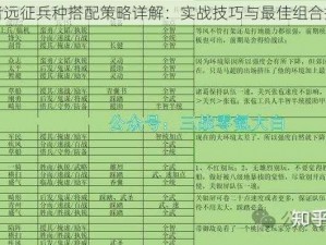 王者远征兵种搭配策略详解：实战技巧与最佳组合指南