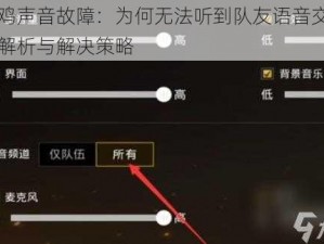 吃鸡声音故障：为何无法听到队友语音交流的解析与解决策略