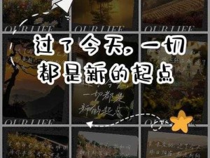 黎明之路官方网站：探索新一天的起点，开启你的旅程新篇章