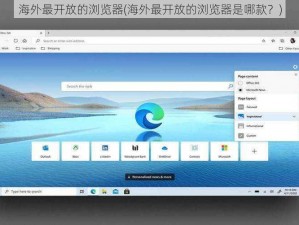 海外最开放的浏览器(海外最开放的浏览器是哪款？)