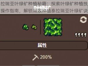 泰拉瑞亚叶绿矿种植秘籍：探索叶绿矿种植技巧与操作指南，解锁高效种植泰拉瑞亚叶绿矿诀窍