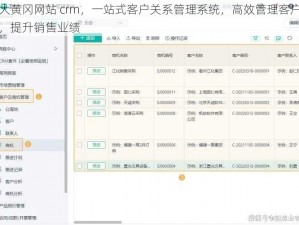 十大黄冈网站 crm，一站式客户关系管理系统，高效管理客户信息，提升销售业绩