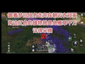 逆水寒手游闻剑雨奇遇探寻真相及全面攻略指南