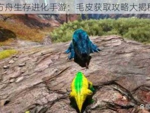 方舟生存进化手游：毛皮获取攻略大揭秘