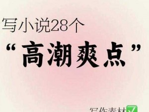 小受被攻在墙上 c 到高潮的小说：极致快感，让你心跳加速