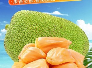 菠萝蜜免费入口5-菠萝蜜免费入口 5：畅享无限制精彩内容