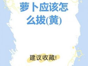 拔萝卜又疼又黄—拔萝卜又疼又黄，为什么会这样？