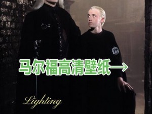 《哈利波特：从始至终的魔法拼图：马尔福的阴影》