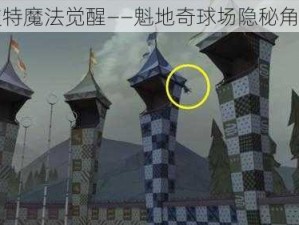 哈利波特魔法觉醒——魁地奇球场隐秘角落揭秘