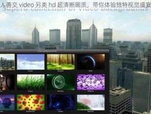 人善交 video 另类 hd 超清晰画质，带你体验独特视觉盛宴