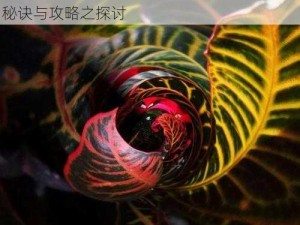 磁带怪兽与旋转木鼠的奇妙追逐：揭秘捕捉秘诀与攻略之探讨