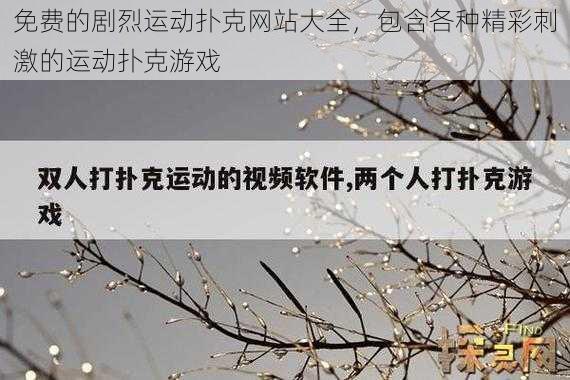 免费的剧烈运动扑克网站大全，包含各种精彩刺激的运动扑克游戏