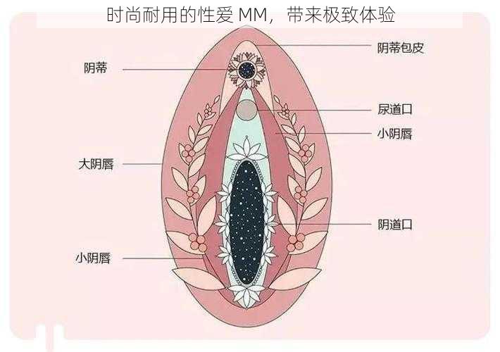 时尚耐用的性爱 MM，带来极致体验