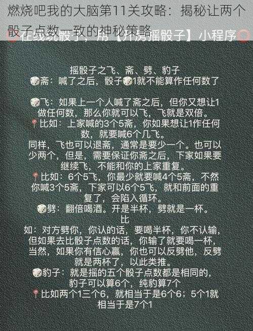 燃烧吧我的大脑第11关攻略：揭秘让两个骰子点数一致的神秘策略