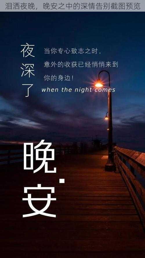 泪洒夜晚，晚安之中的深情告别截图预览