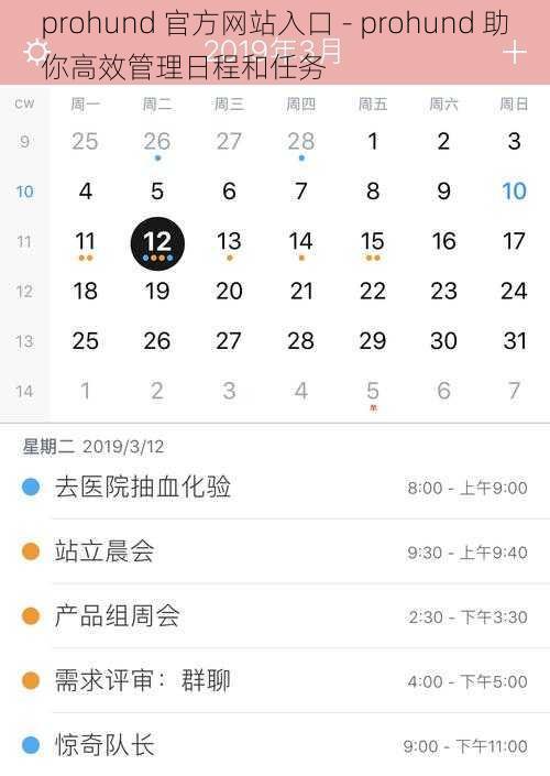 prohund 官方网站入口 - prohund 助你高效管理日程和任务