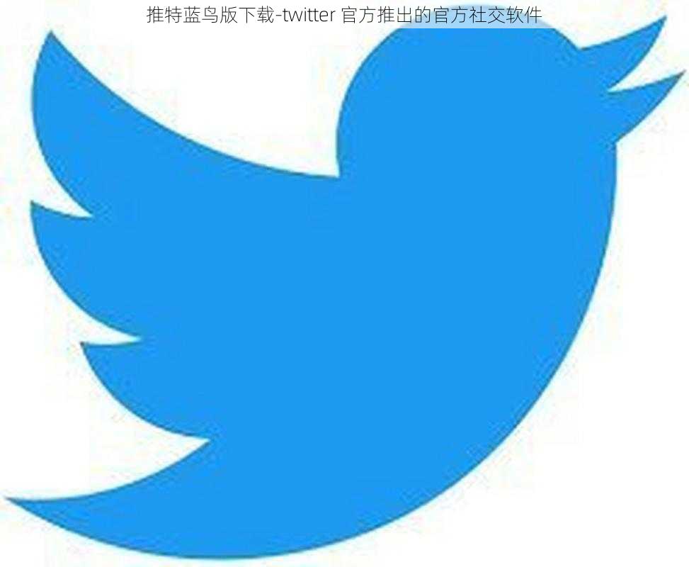 推特蓝鸟版下载-twitter 官方推出的官方社交软件