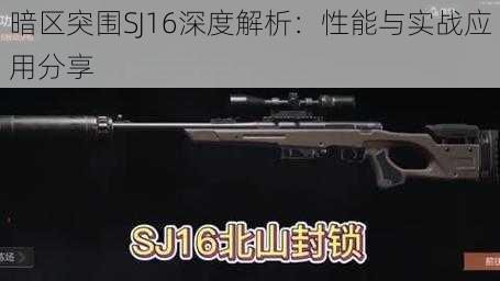 暗区突围SJ16深度解析：性能与实战应用分享