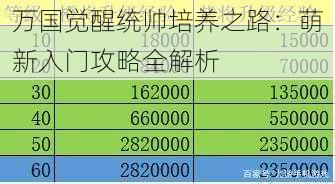 万国觉醒统帅培养之路：萌新入门攻略全解析