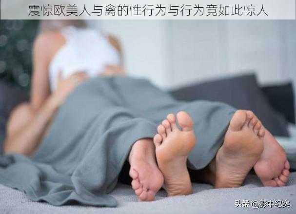 震惊欧美人与禽的性行为与行为竟如此惊人