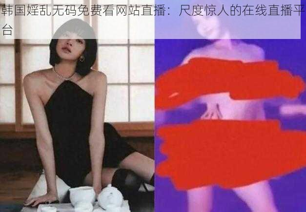 韩国婬乱无码免费看网站直播：尺度惊人的在线直播平台