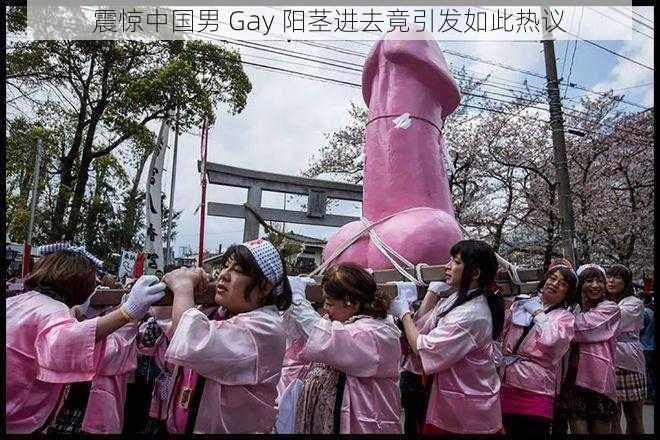 震惊中国男 Gay 阳茎进去竟引发如此热议