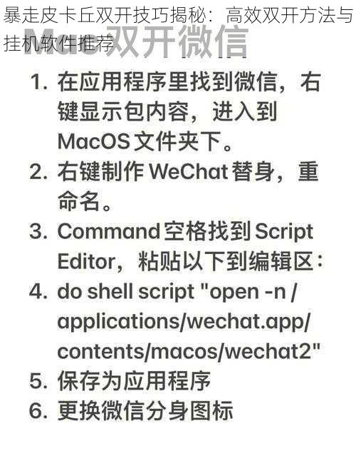 暴走皮卡丘双开技巧揭秘：高效双开方法与挂机软件推荐