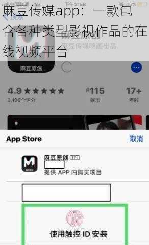 麻豆传媒app：一款包含各种类型影视作品的在线视频平台